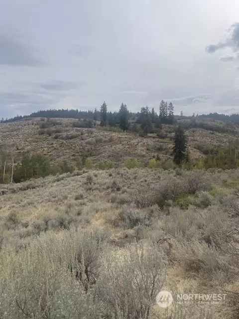 652 Tbd Ellemeham Mtn Rd, Oroville, WA 98844
