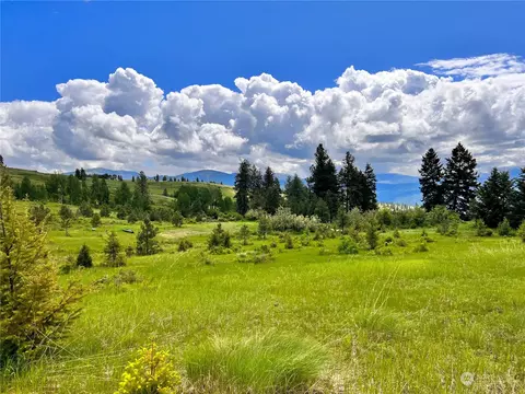 0 Tbd Big Goosmus Crk Rd, Curlew, WA 99118