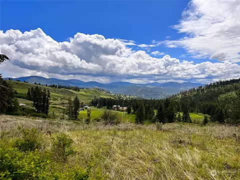 293 Big Goosmus Crk Rd, Curlew, WA 99118