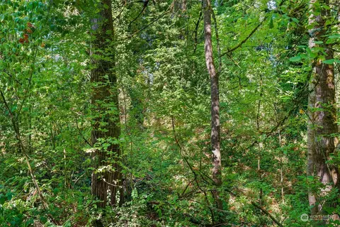 1114 Eckerson Rd, Centralia, WA 98531 photo 29