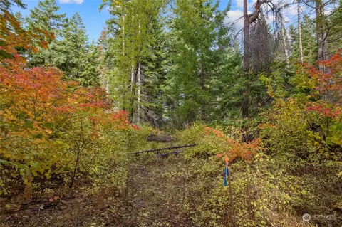 61 Little Eureka Ln, Cle Elum, WA 98922