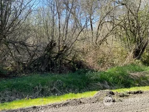 0 Filmore Rd, Aberdeen, WA 98520