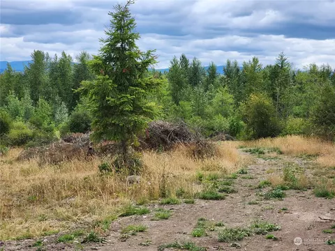 302 390th St E, Roy, WA 98580