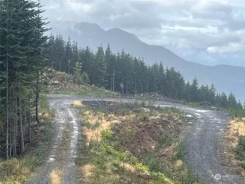 2 Nn Cayada Creek Road - Usfs 7810, Carbonado, WA 98396
