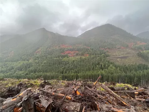 3 Nn Cayada Creek Road - Usfs 7810, Carbonado, WA 98396