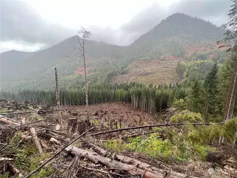 4 Nn Cayada Creek Road - Usfs 7810, Carbonado, WA 98396