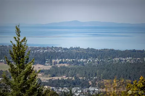 431 Carriage Dr, Sequim, WA 98382 photo 9
