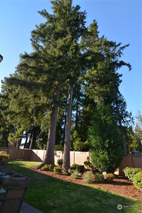21 233rd Pl SE, Bothell, WA 98021 photo 30
