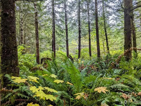 3154 Coal Creek Rd, Longview, WA 98632
