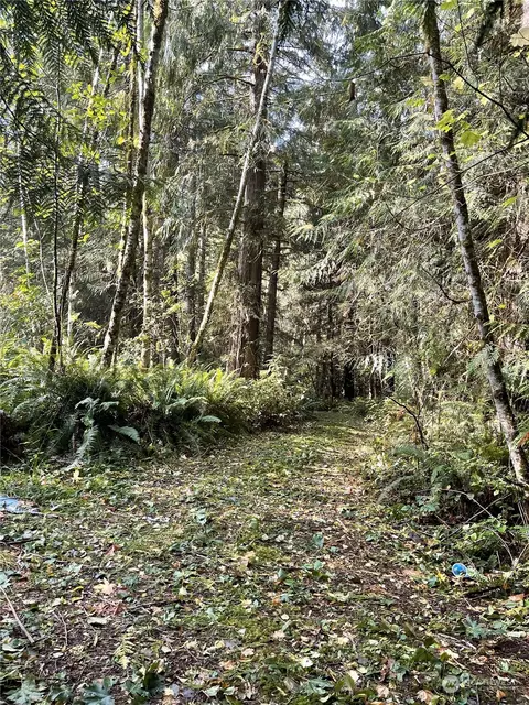 0 Butler Mill Rd, Porter, WA 98501