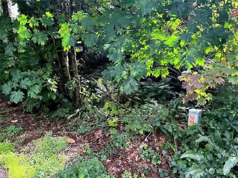 30301 SE 396th St, Enumclaw, WA 98022 photo 8