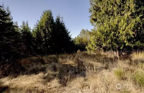 1713 Cays Rd, Sequim, WA 98382 photo 5