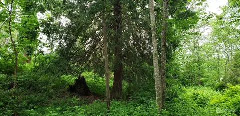 15800 62nd Ave NW, Gig Harbor, WA 98332