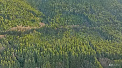 0 Nnn, Skykomish, WA 98288