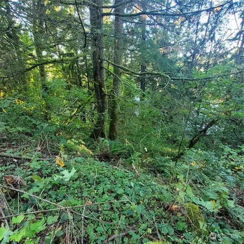 37641 W Lake Walker Dr SE, Enumclaw, WA 98022 photo 10