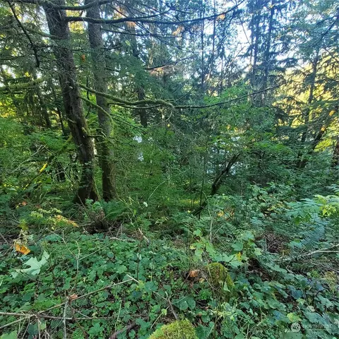 37641 W Lake Walker Dr SE, Enumclaw, WA 98022 photo 11