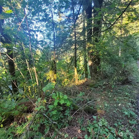 37641 W Lake Walker Dr SE, Enumclaw, WA 98022 photo 9