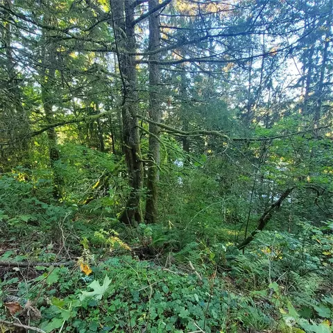 37641 W Lake Walker Dr SE, Enumclaw, WA 98022 photo 12