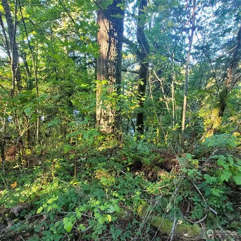 37641 W Lake Walker Dr SE, Enumclaw, WA 98022 photo 7