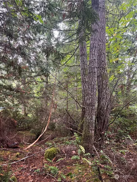 0 E Deer Dr, Shelton, WA 98584