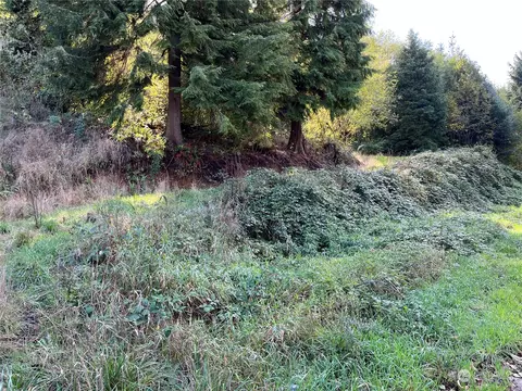 159 Covered Bridge Rd, Grays River, WA 98621