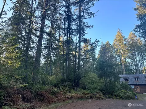 11815 Dogwood Pl, Anderson Island, WA 98303