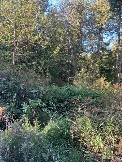 20 Harmon Ranch Rd, Decatur Island, WA 98221