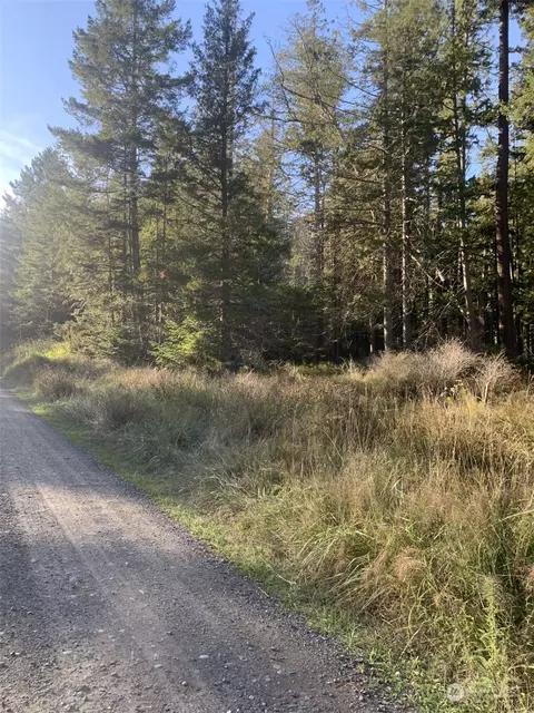 40 Harmon Ranch Rd, Decatur Island, WA 98221
