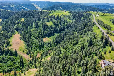 0 Lewis Peak Rd, Dixie, WA 99329 photo 4