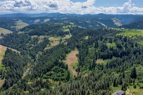 0 Lewis Peak Rd, Dixie, WA 99329 photo 8