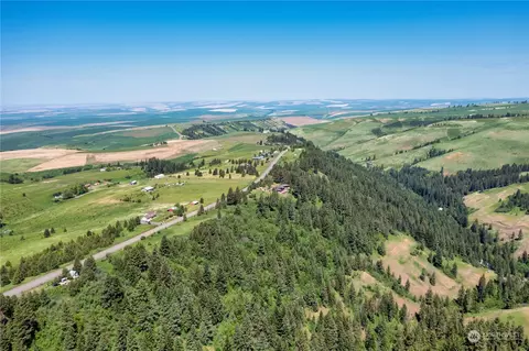 0 Lewis Peak Rd, Dixie, WA 99329 photo 3