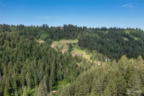 0 Lewis Peak Rd, Dixie, WA 99329 photo 7