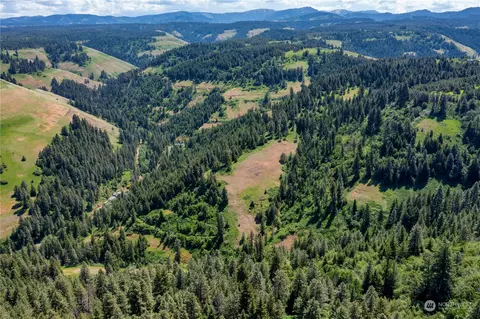 0 Lewis Peak Rd, Dixie, WA 99329 photo 9