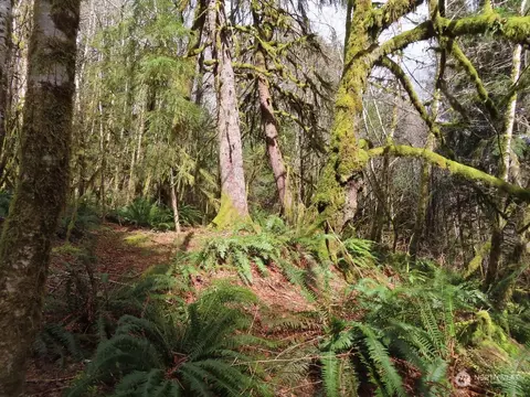 0 Nnn Artic Rd, Cosmopolis, WA 98537