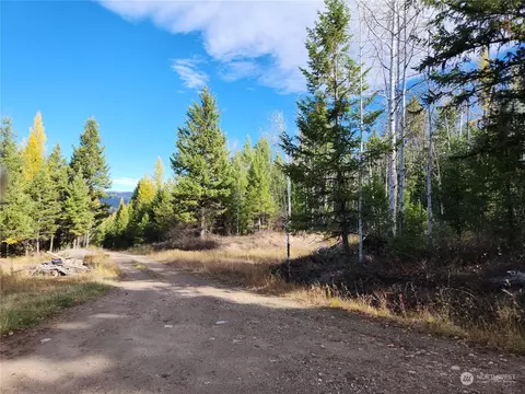 44 Wild Turkey Dr, Republic, WA 99166