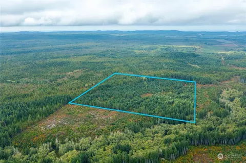 0 Meadow Crk, Quinault, WA 98575