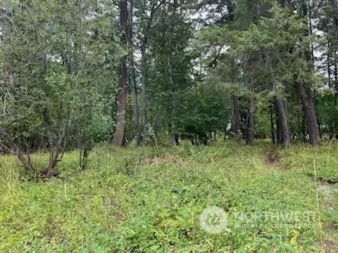 6 Cedar Cir, Mazama, WA 98833