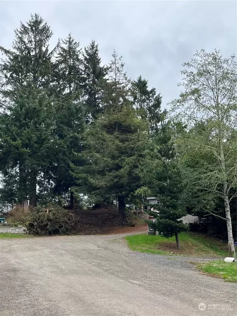 3218 Nn 241st Pl, Ocean Park, WA 98640