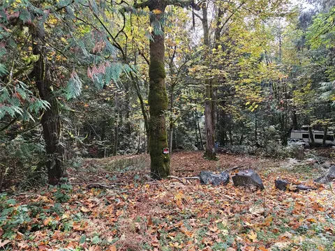 42 N Olympic Trails Dr, Lilliwaup, WA 98555