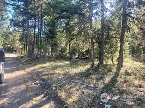 200 E Fork Rd, Wauconda, WA 98859