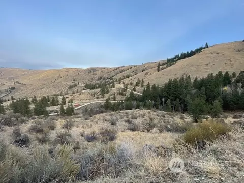 30 Lot Mountain Spring Rd, Orondo, WA 98816