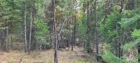0 Halter Place Rd, Tonasket, WA 98855