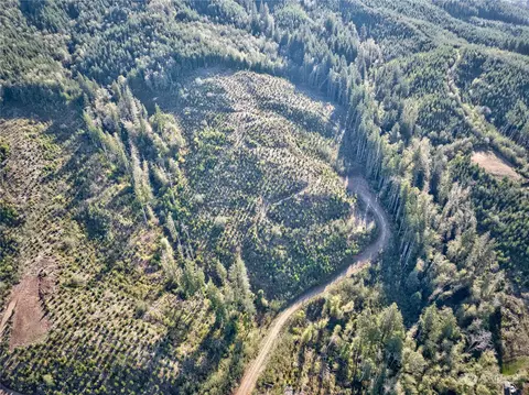 0 Tract 2a South Valley Rd, Naselle, WA 98638