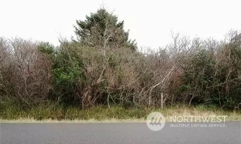 1060 Fairwood Dr SW, Ocean Shores, WA 98569