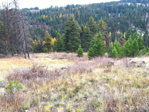 0 Lot 132 Slippery Hill Rd, Republic, WA 99166