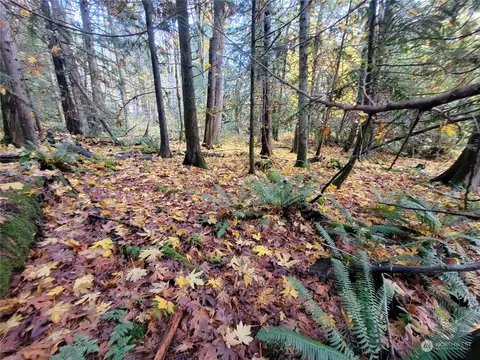 5376 Reese Hill Rd, Sumas, WA 98295