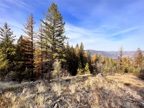 0 Tbd Sugar Loaf Rd, Curlew, WA 99118