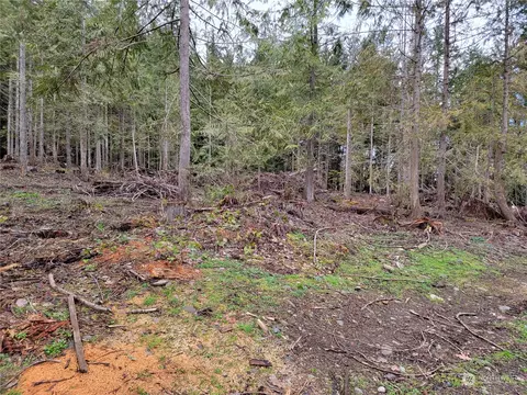 745 Olson Rd, Sequim, WA 98382 photo 24