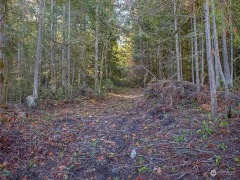 745 Olson Rd, Sequim, WA 98382 photo 10