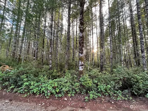 0 Dewatto Hls, Tahuya, WA 98588